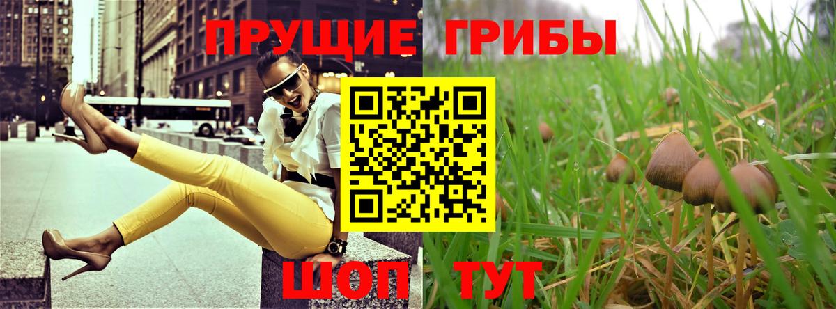 Псилоцибиновые грибы мицелий  Вход с VPN  Когалым 